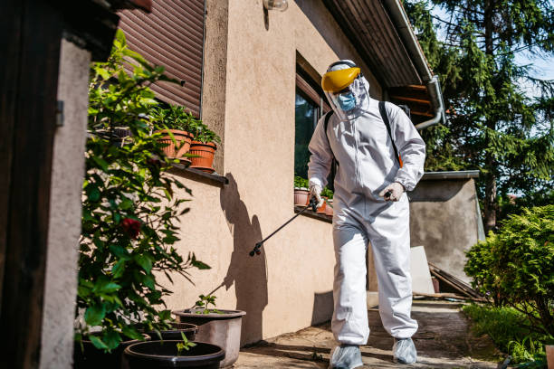 Flea Control Services in Lafayette, LA