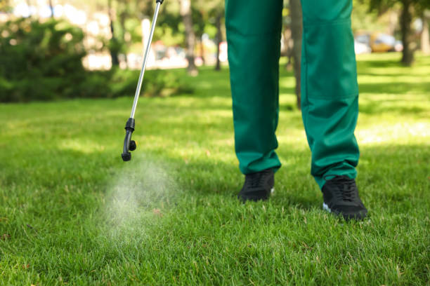 Best Affordable Pest Control Services  in Fayette, LA