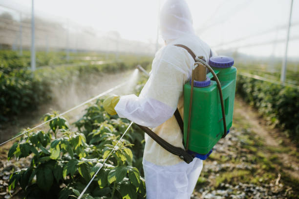 Best Rat Extermination Near Me  in Fayette, LA